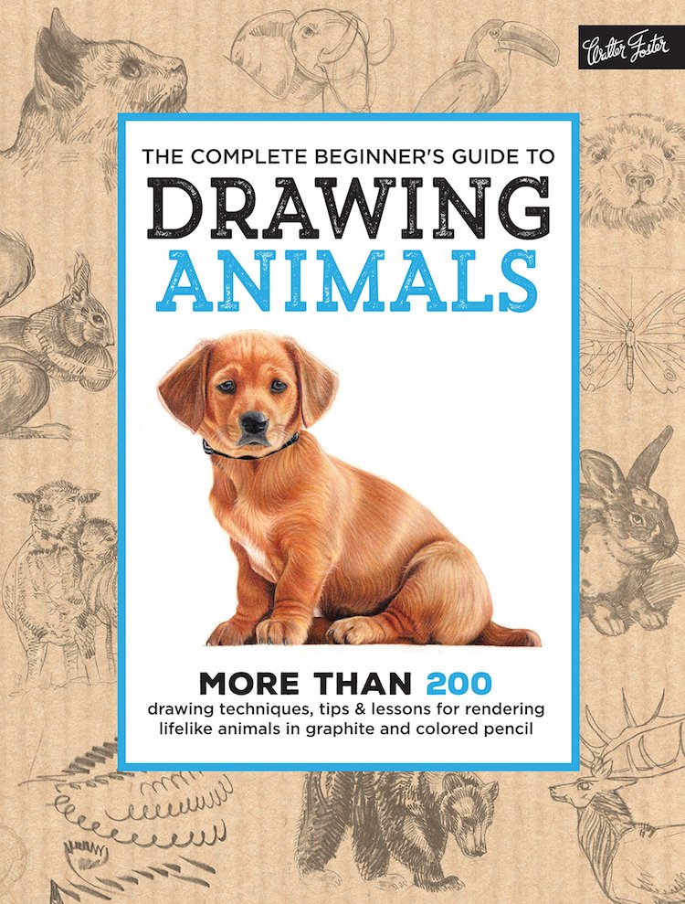 Beginners Guide to Drawing Animals