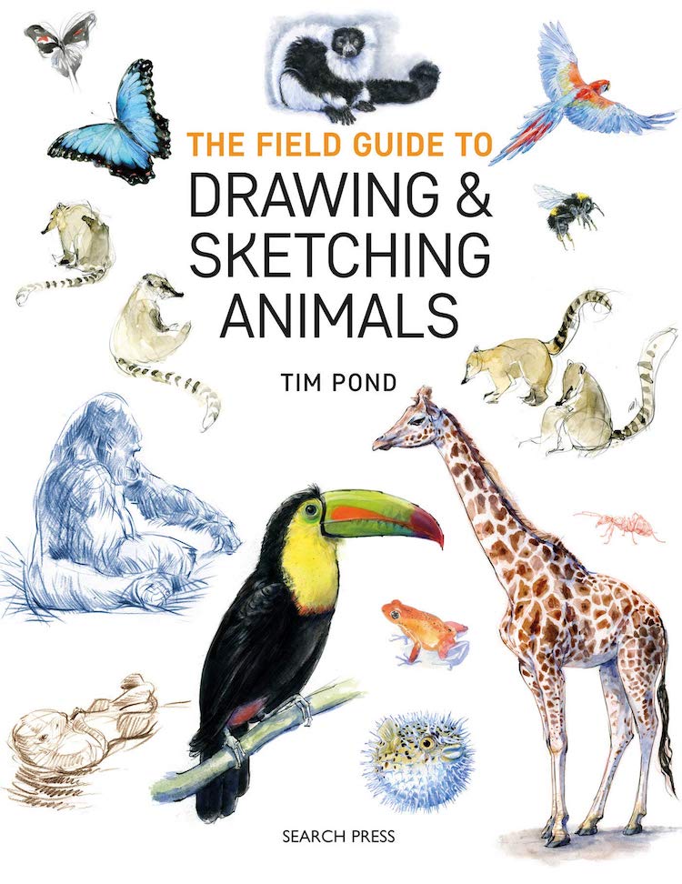 How to Draw and Sketch Animals