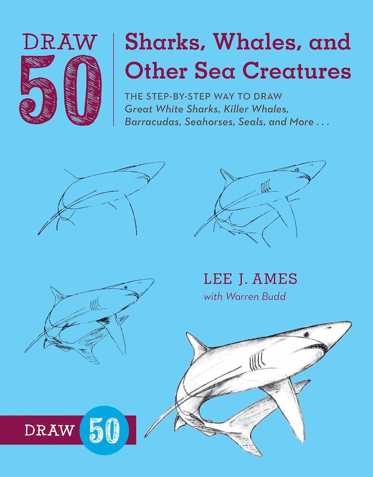 How to Draw Sea Creatures Book