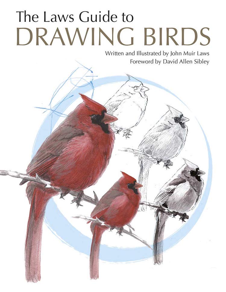 How to Draw Birds Book