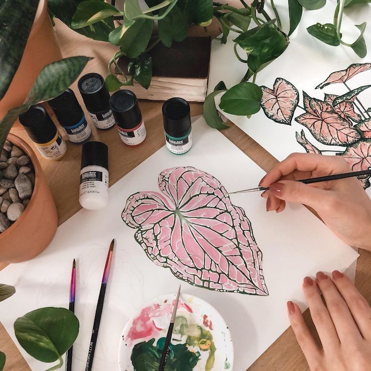 Plant Illustrations by Rosa F