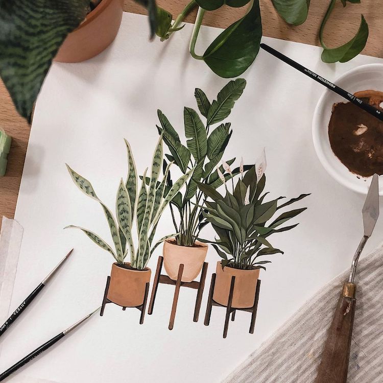 Plant Illustrations by Rosa F