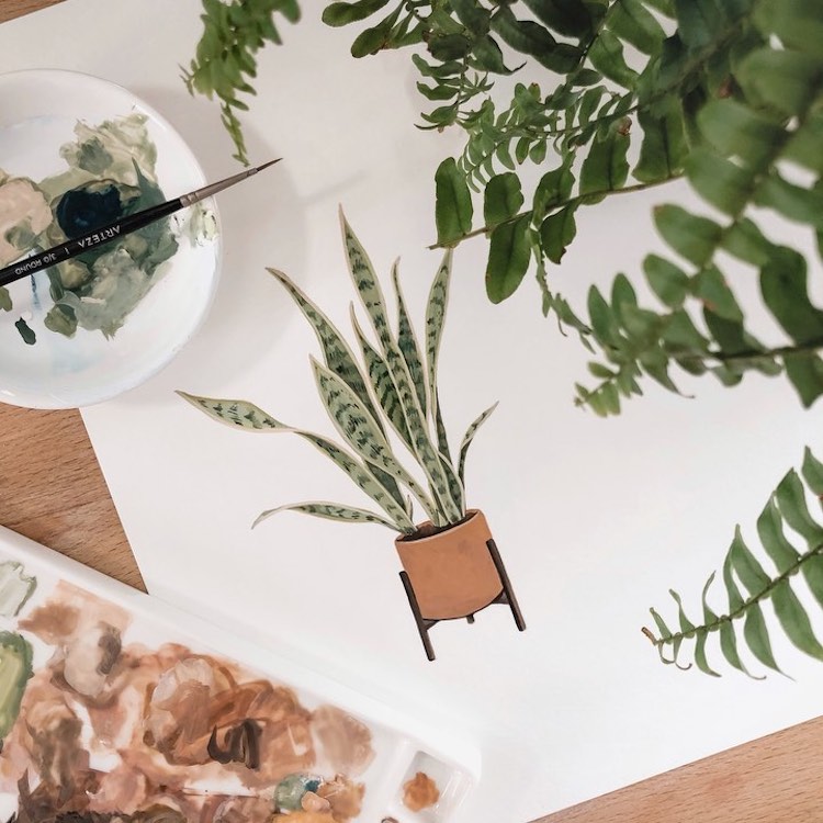 House Plant Paintings by Rosa F