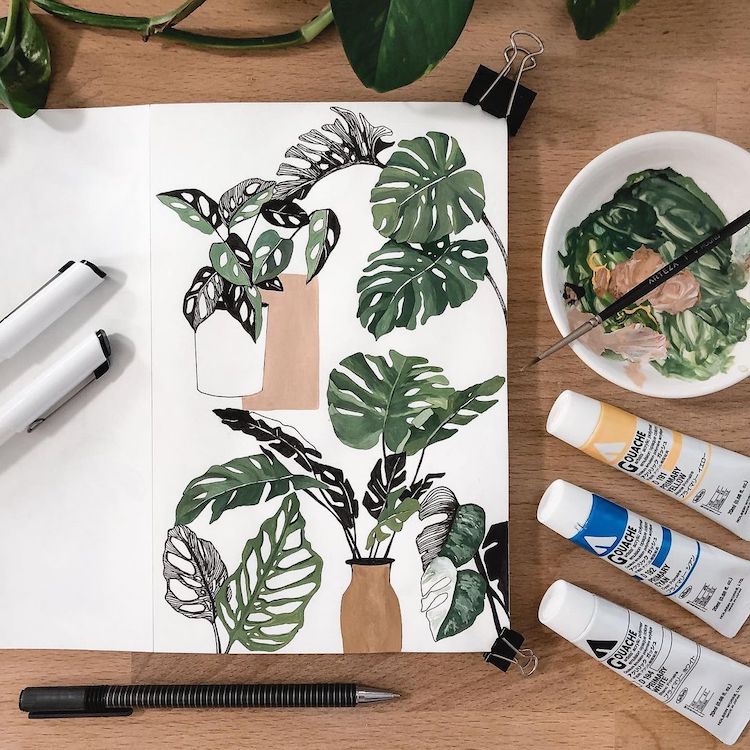 Plant Illustrations by Rosa F