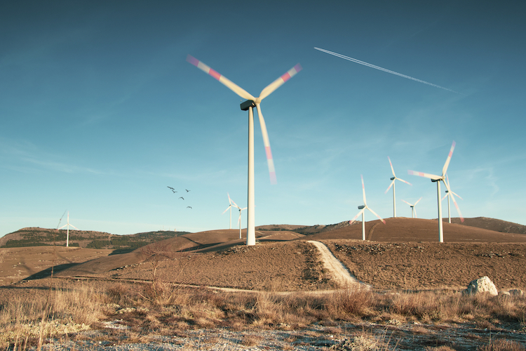 This New Wind Turbine Feature Could Save Eagles and Other Birds