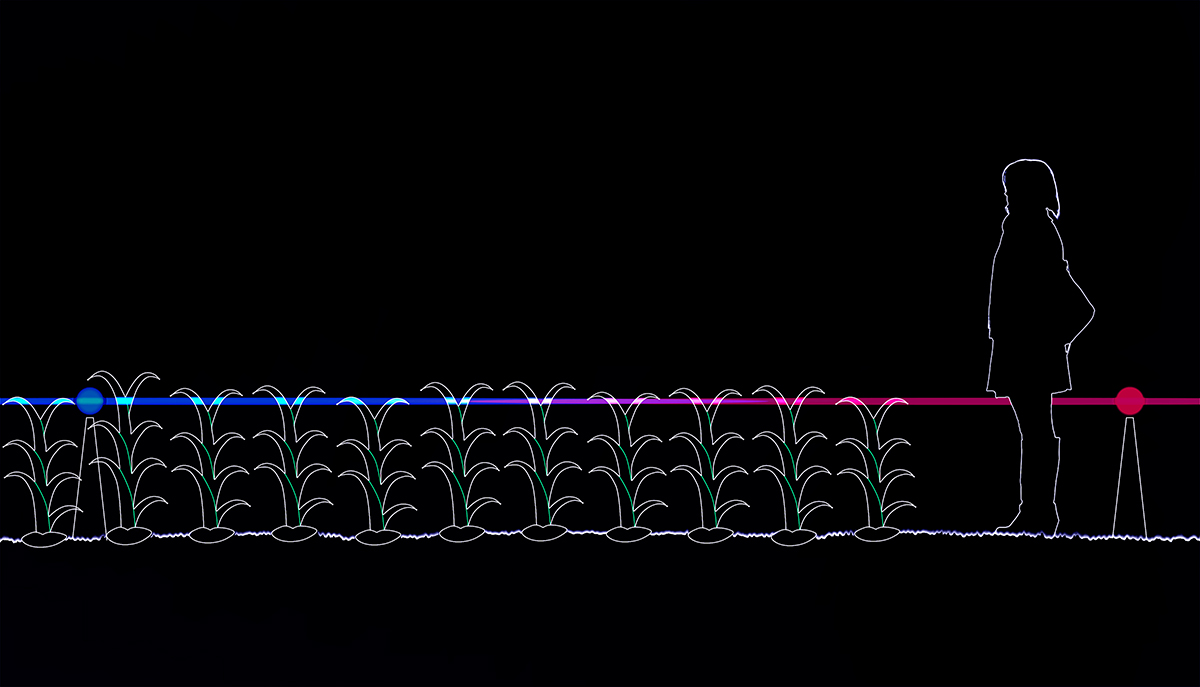 Technology Grow Installation