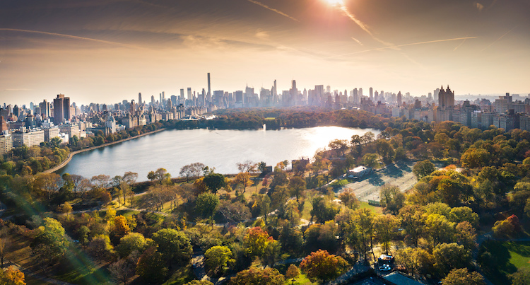 The History and Legacy of NYC's Central Park