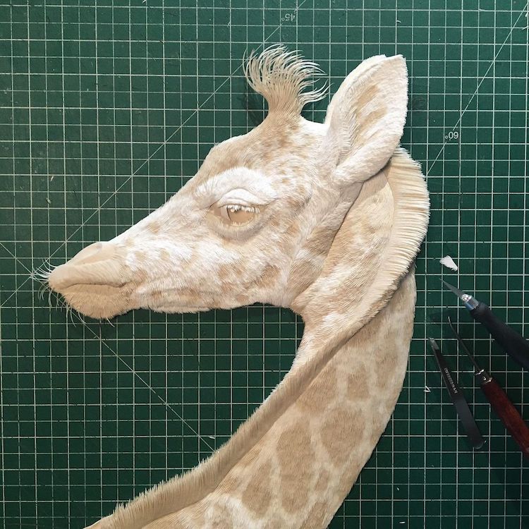 Paper Animal Sculpture by Calvin Nicholls