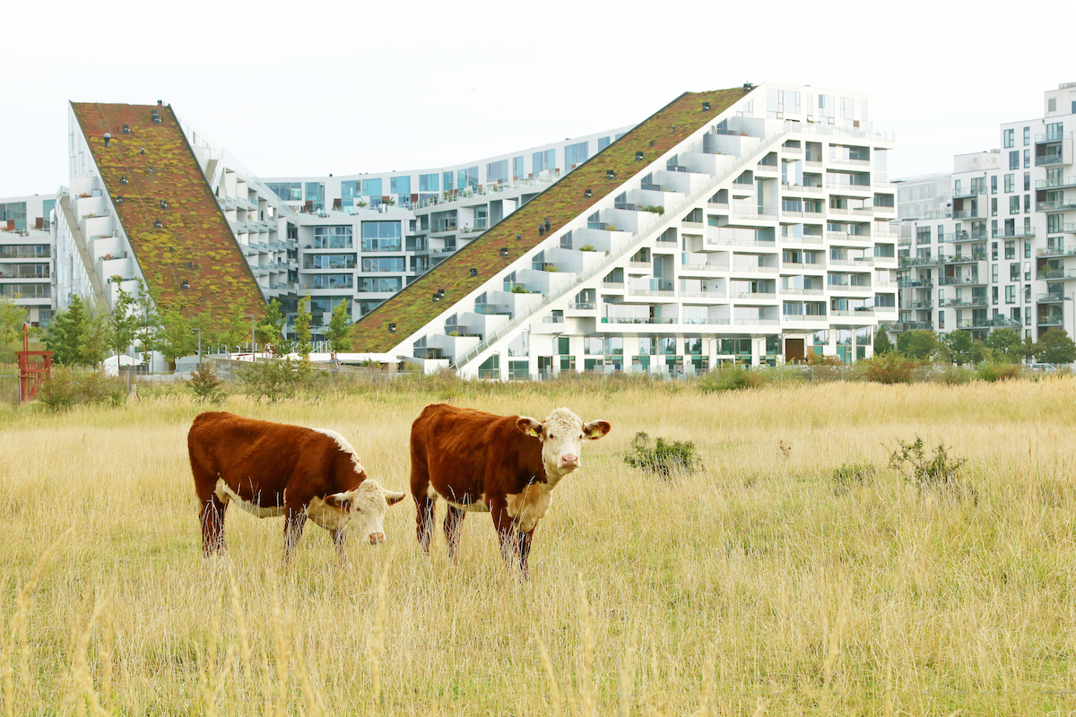 8 House - The Architecture of BIG - 15 Great Buildings by Bjarke Ingels Group