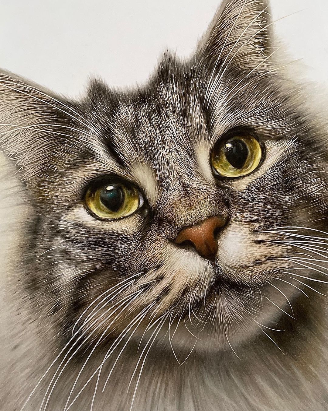 Hyperrealistic Cat Drawings by Haruki Kudo