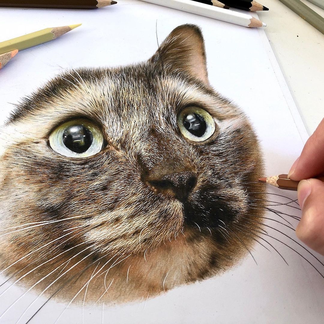 Hyperrealistic Cat Drawings by Haruki Kudo