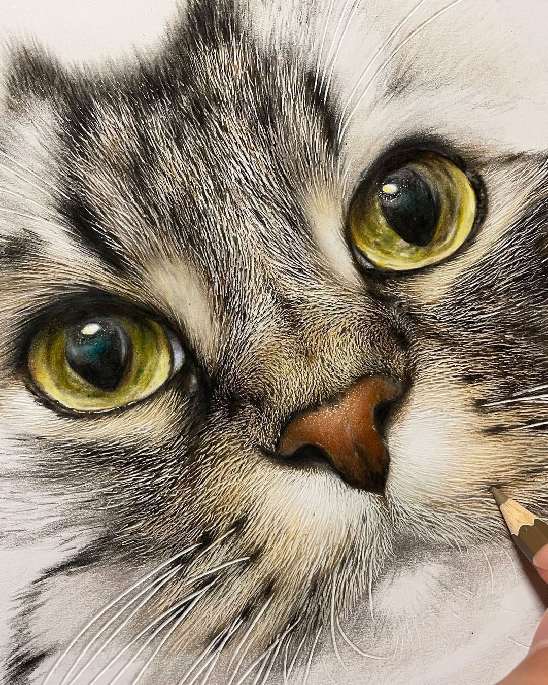 Hyperrealistic Cat Drawings by Haruki Kudo