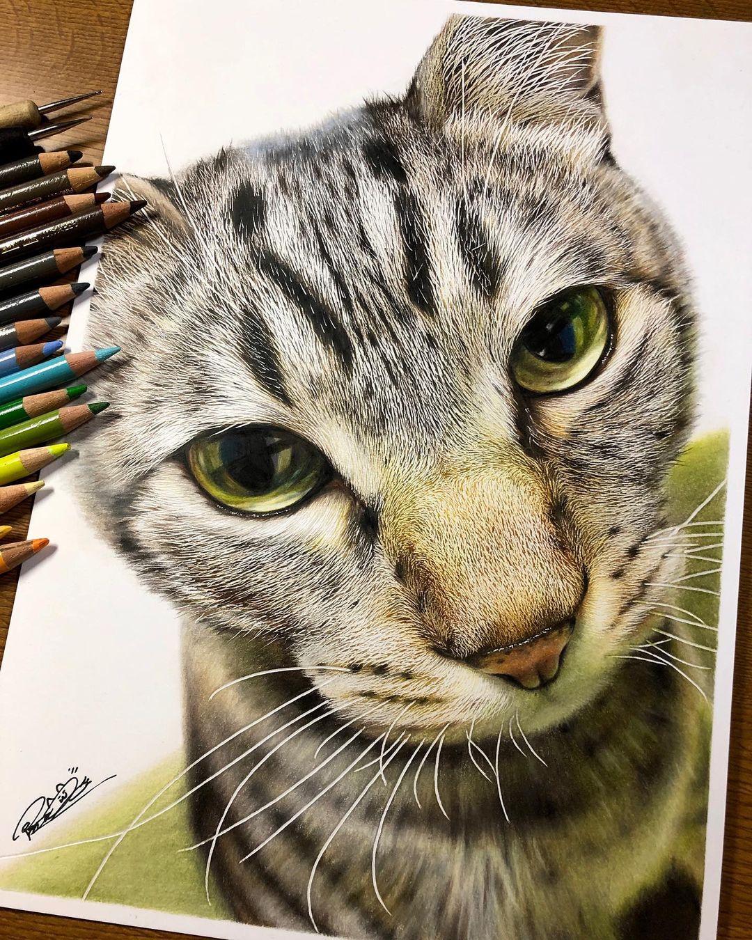 Hyperrealistic Cat Drawings by Haruki Kudo