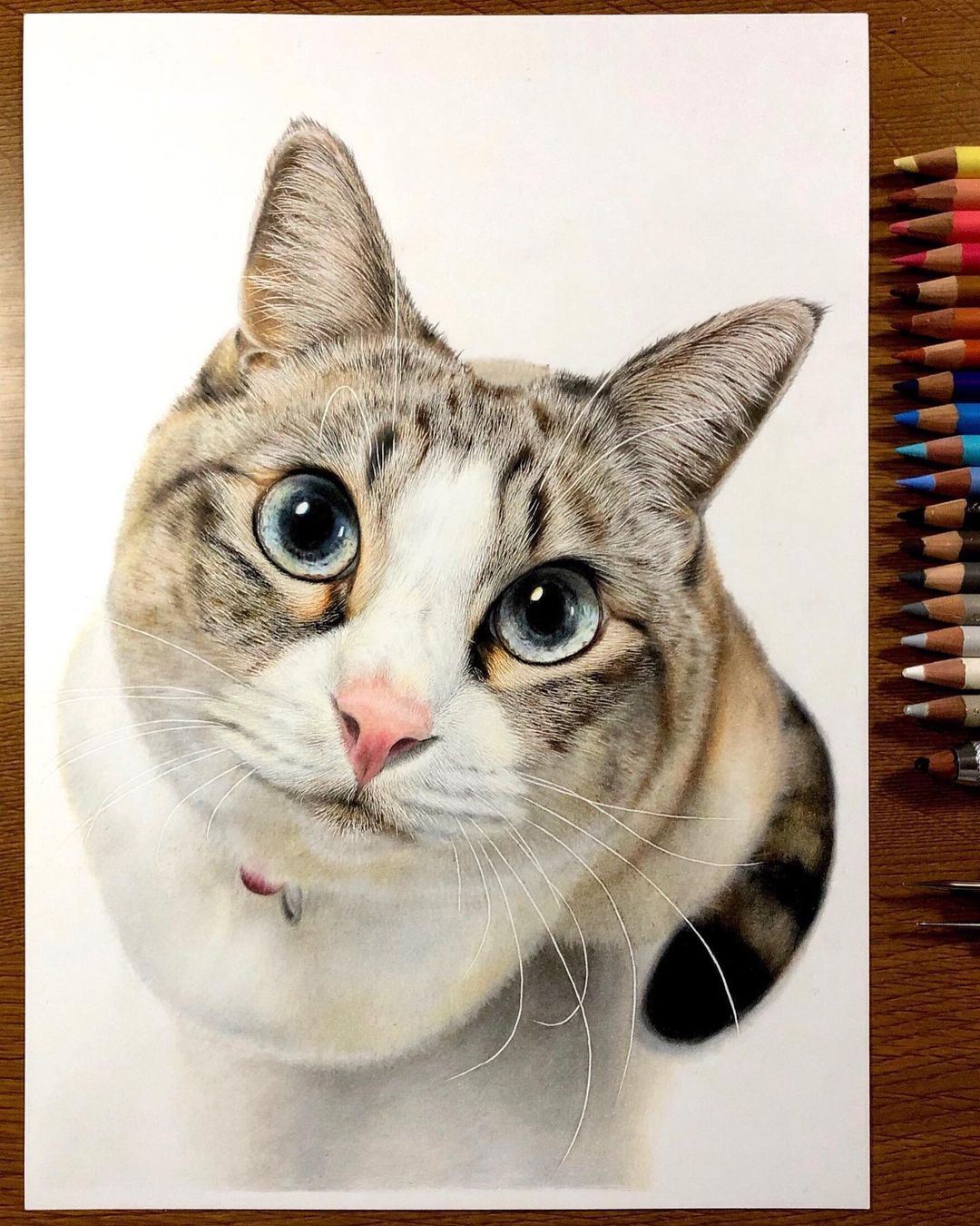 Hyperrealistic Cat Drawings by Haruki Kudo