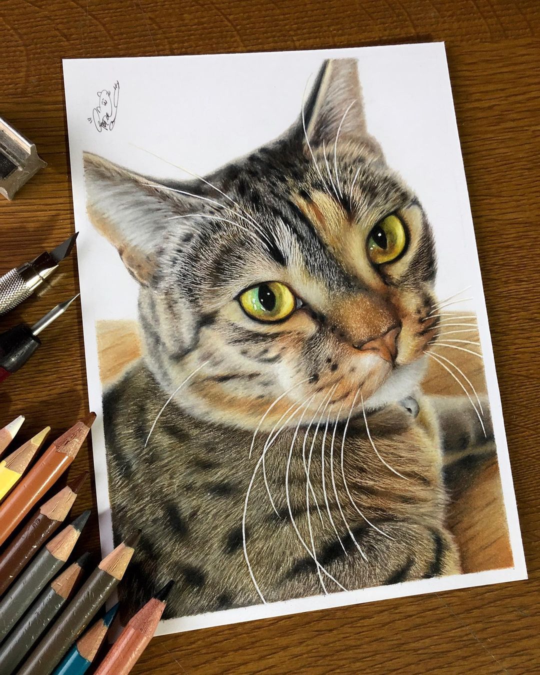 Hyperrealistic Cat Drawings by Haruki Kudo