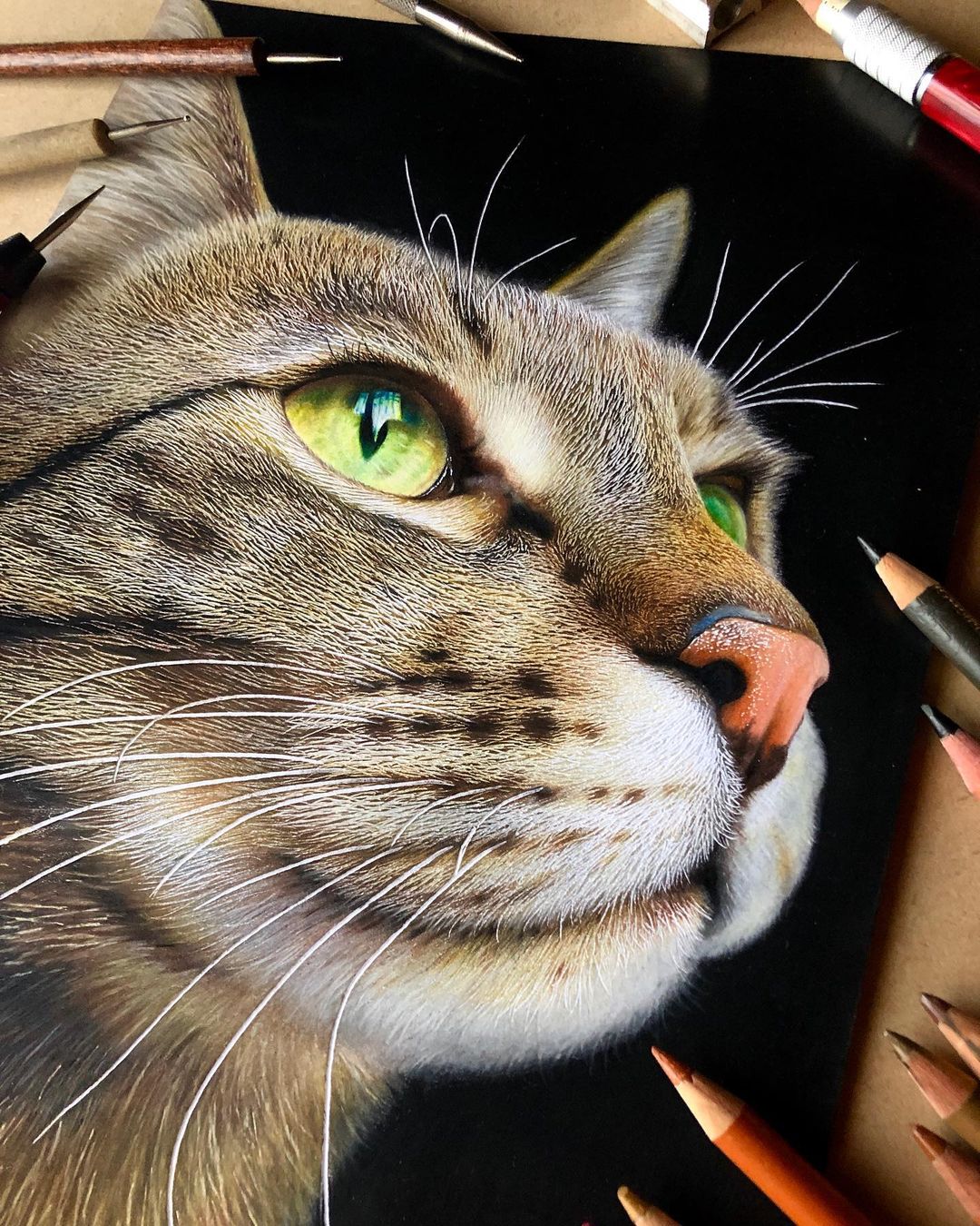 Hyperrealistic Cat Drawings by Haruki Kudo