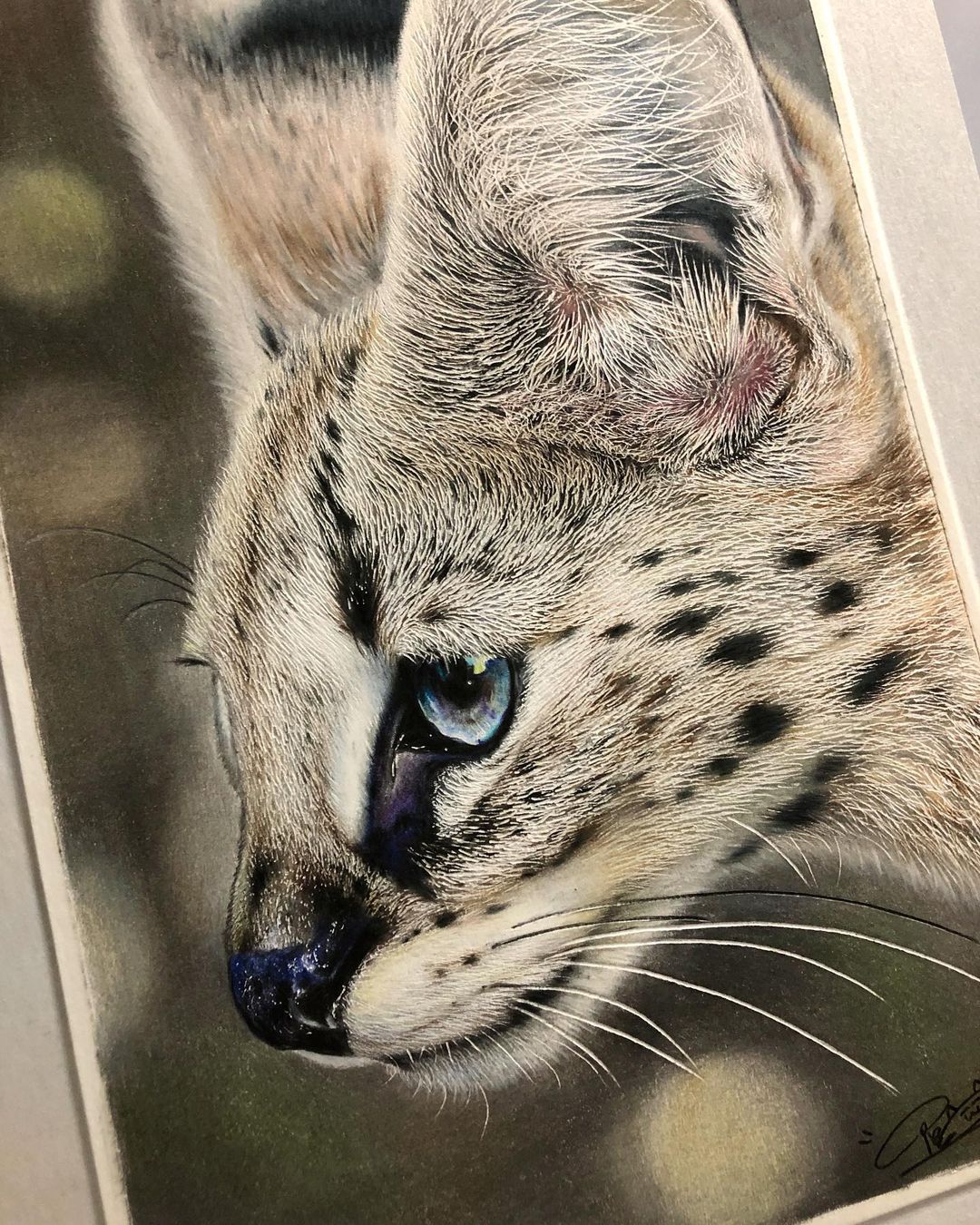 Hyperrealistic Cat Drawings by Haruki Kudo