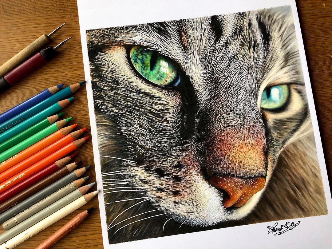 Hyperrealistic Cat Drawings by Haruki Kudo