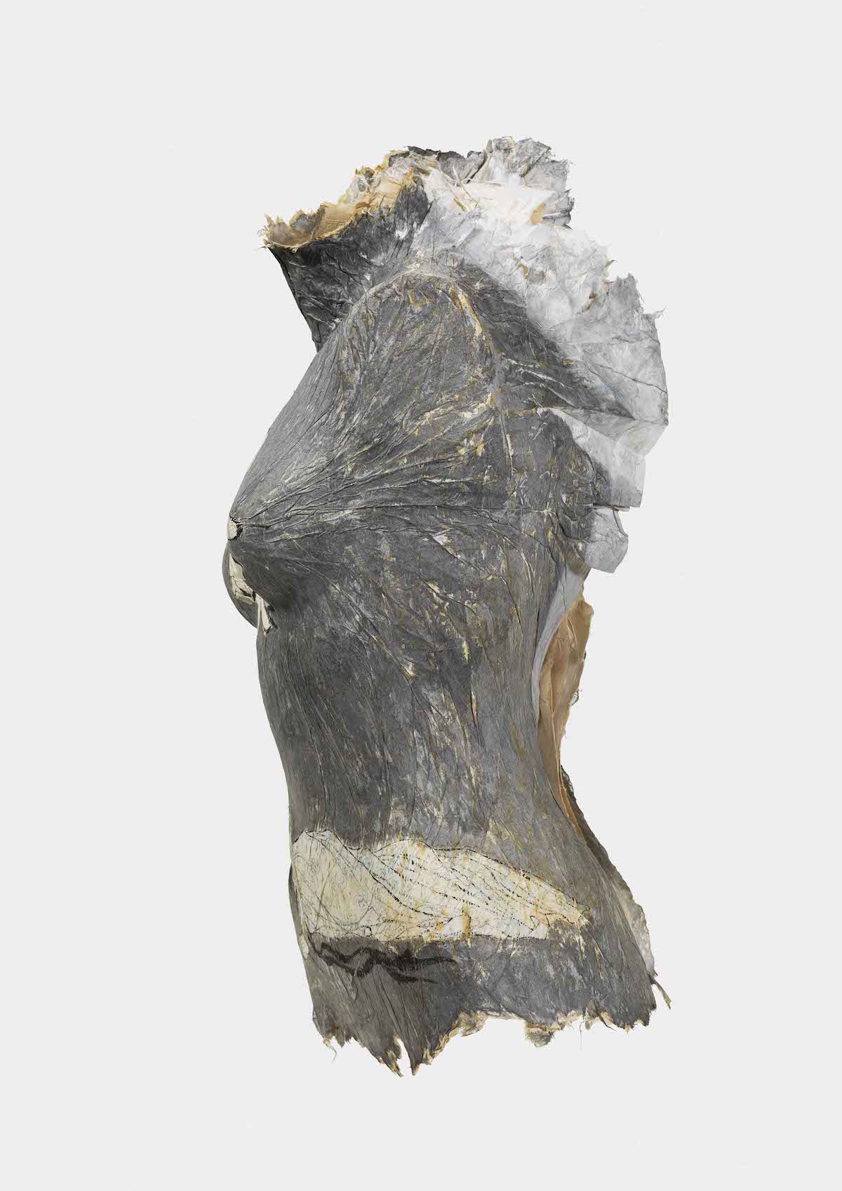Side View of Paper Sculpture