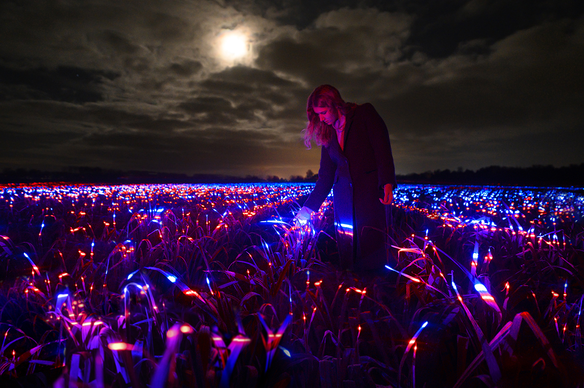 Daan Roosegaarde
