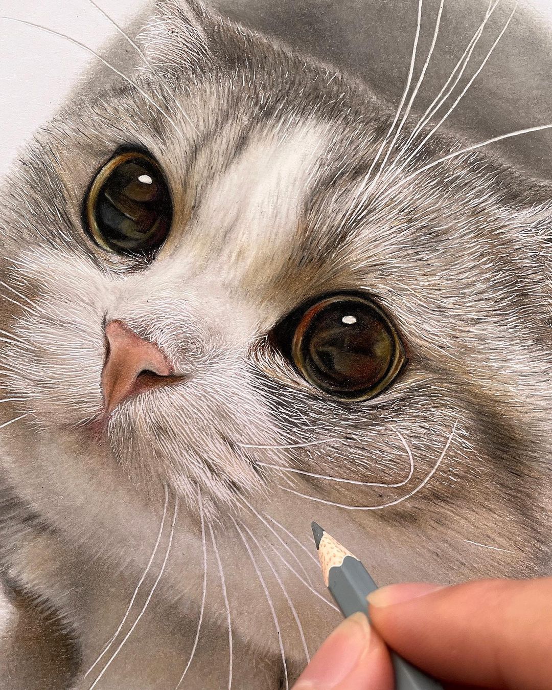 Hyperrealistic Cat Drawings by Haruki Kudo