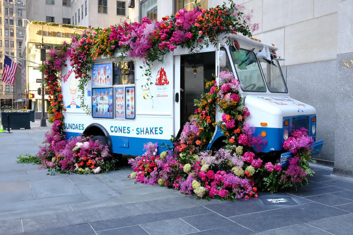 Lewis Miller Flower Flash
