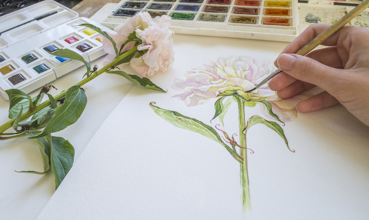 Watercolor Painting Tips