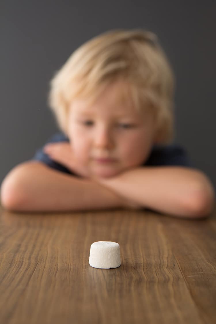Stanford Marshmallow Experiment Test 