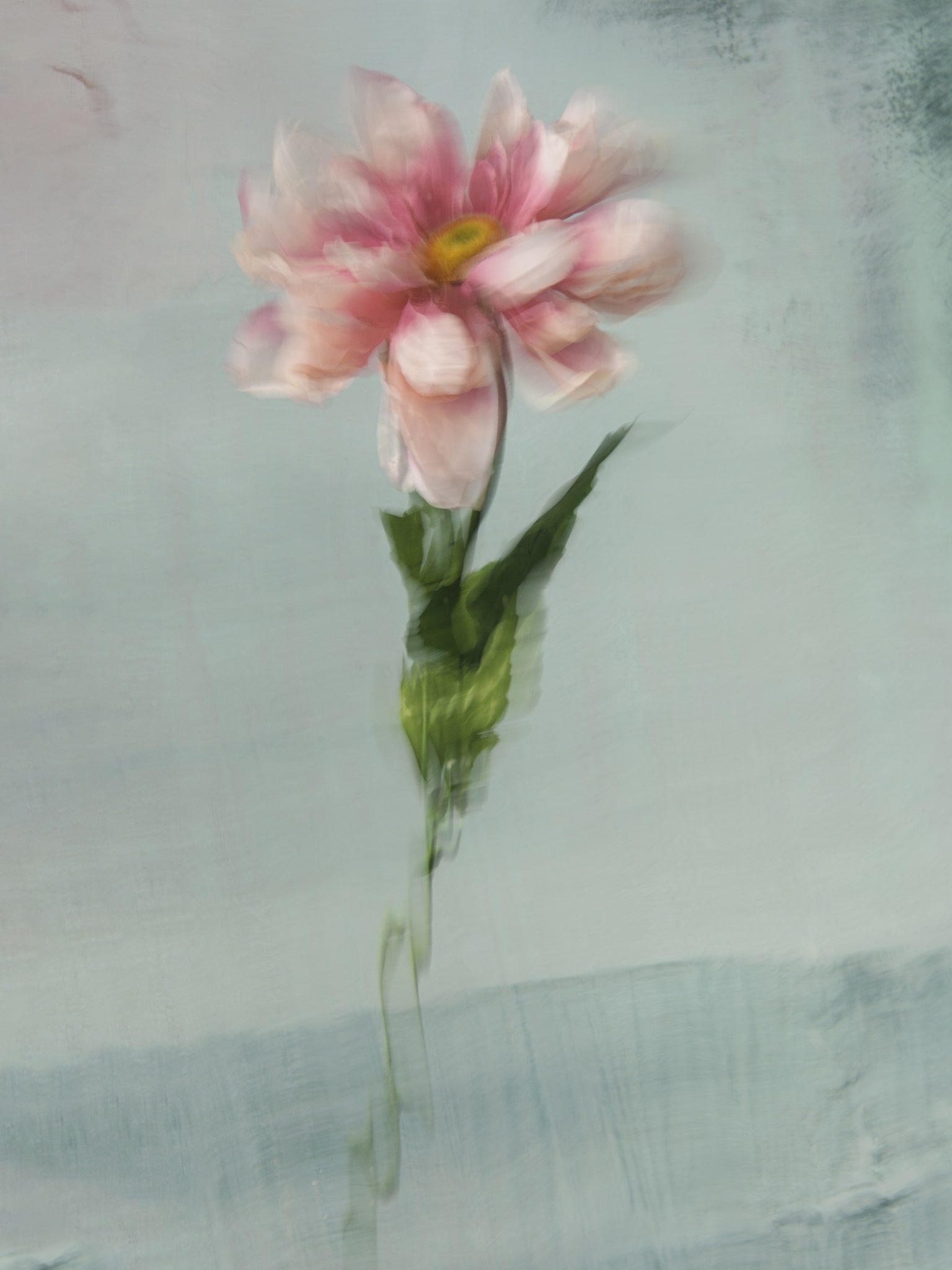 Underwater Flower Photographs by Barbara Cole