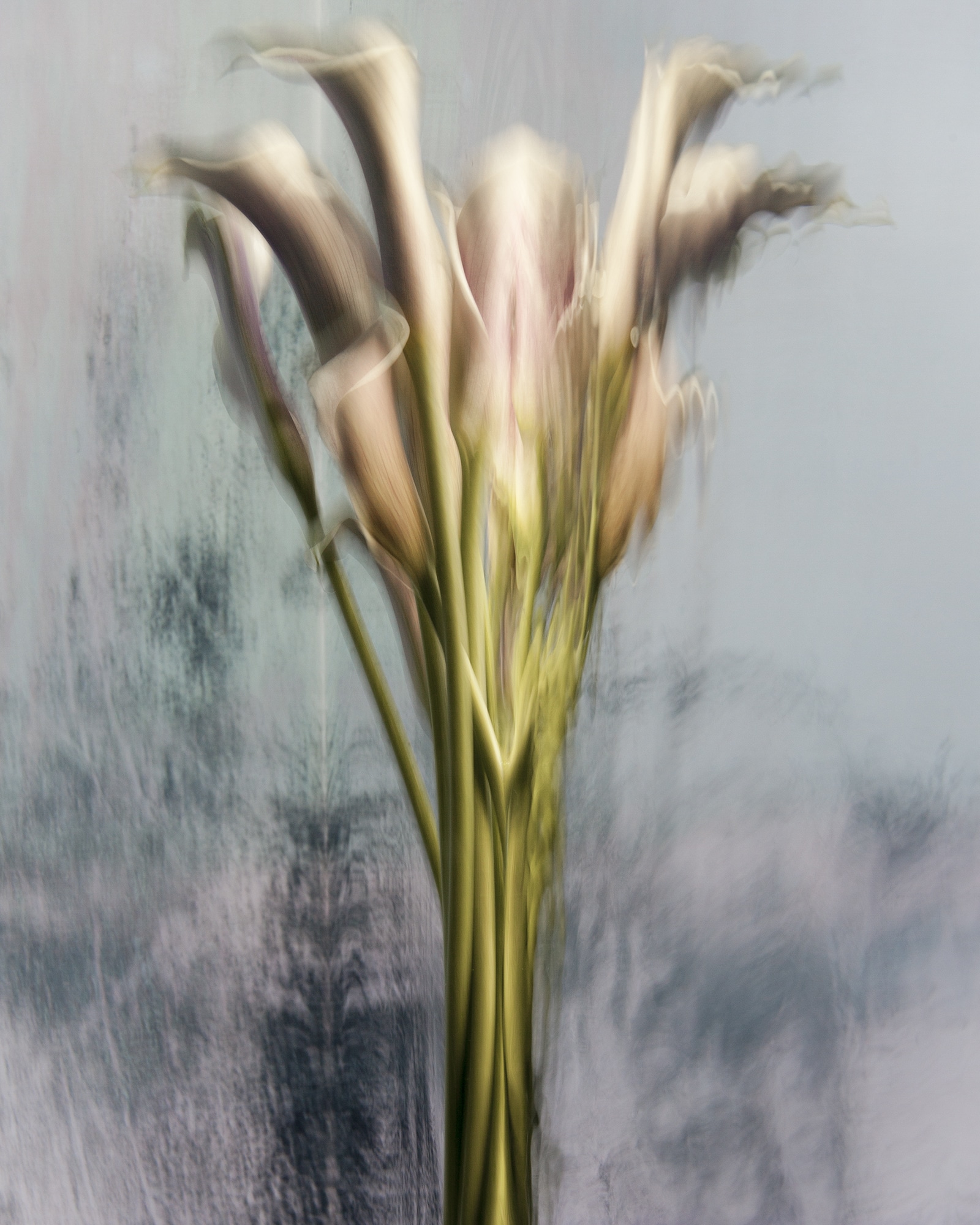 Underwater Flower Photographs by Barbara Cole