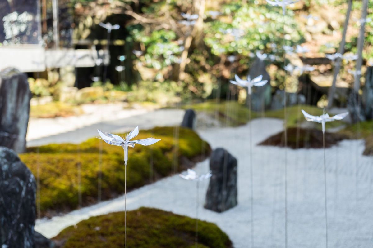 Delicate Transparent Flowers Are Blooming in This Kyoto Temple