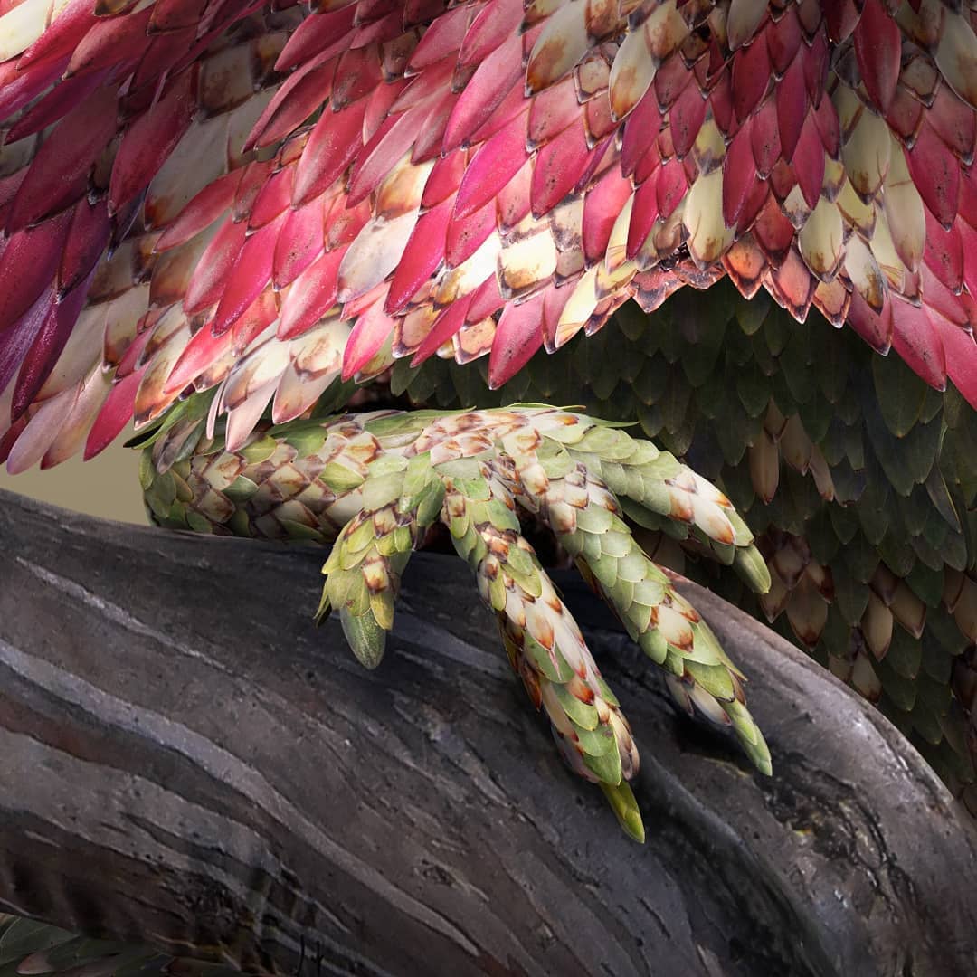 Flower Petal and Leaf Animal Photo Illustrations by Josh Dykgraaf