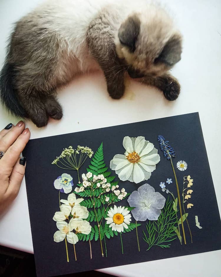 Dried Flower Art by Anna Zakirova