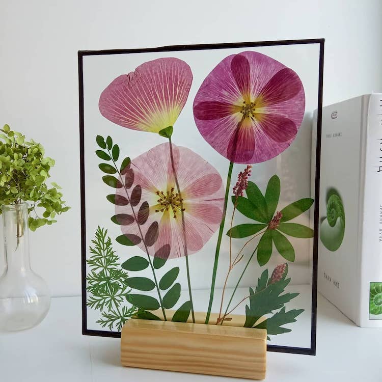 Dried Flower Art by Anna Zakirova