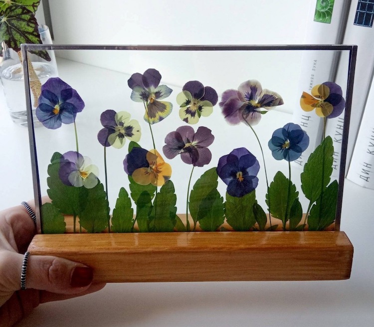 Dried Flower Art by Anna Zakirova
