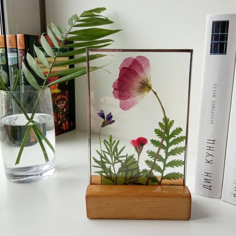 Dried Flower Art by Anna Zakirova