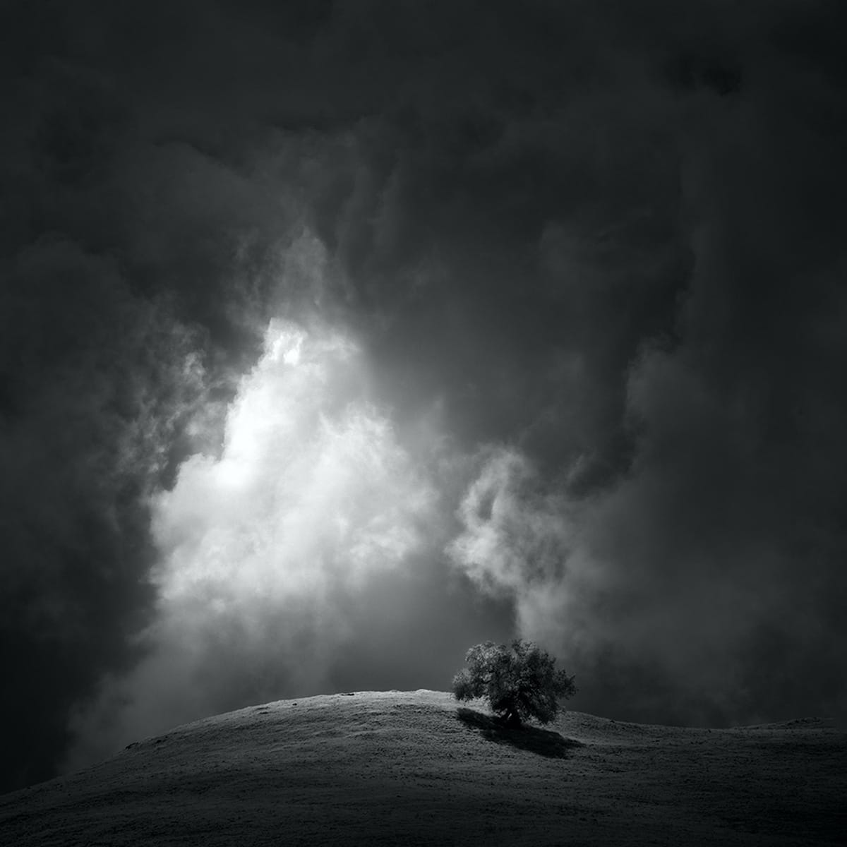 Quietly by Nathan Wirth