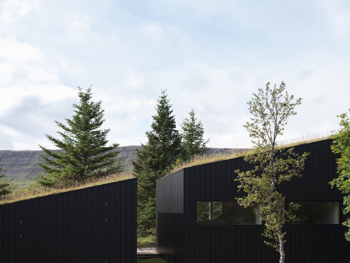 This Green Home Was Designed to Fit Perfectly in the Icelandic Hillside