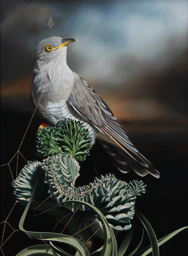 Bird Paintings by Josie Morway