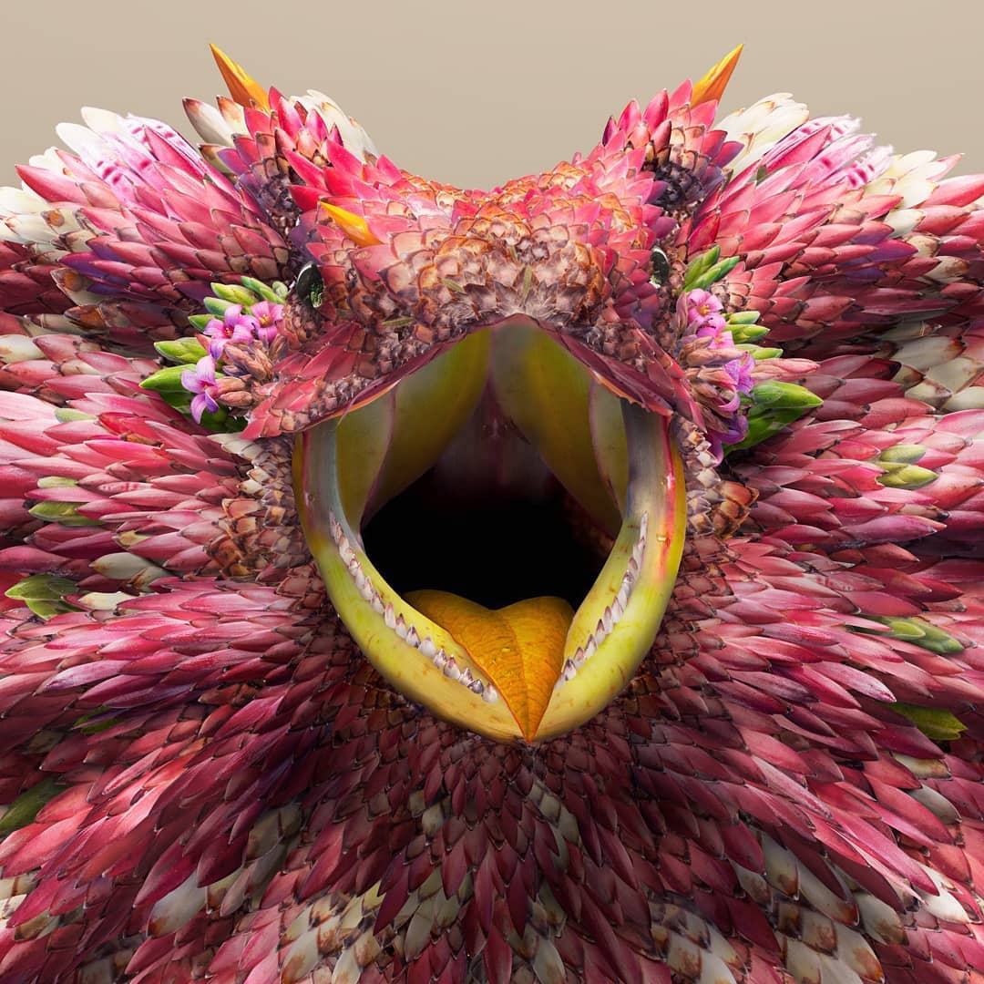 Flower Petal and Leaf Animal Photo Illustrations by Josh Dykgraaf