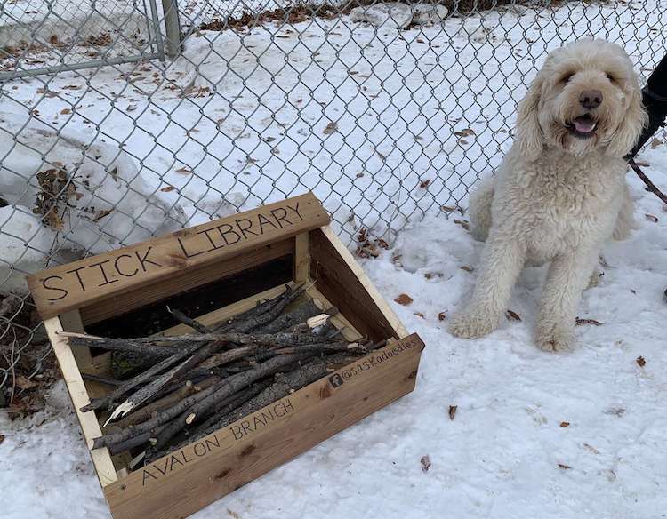 Stick Library for Dogs Doodles of Saskatoon