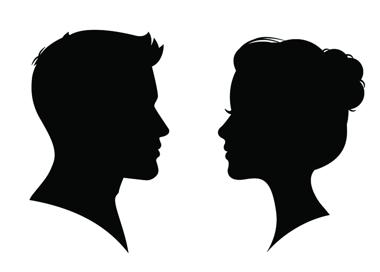 Review Finds Few Differences Between Male and Female Brains Debunking Neurosexism
