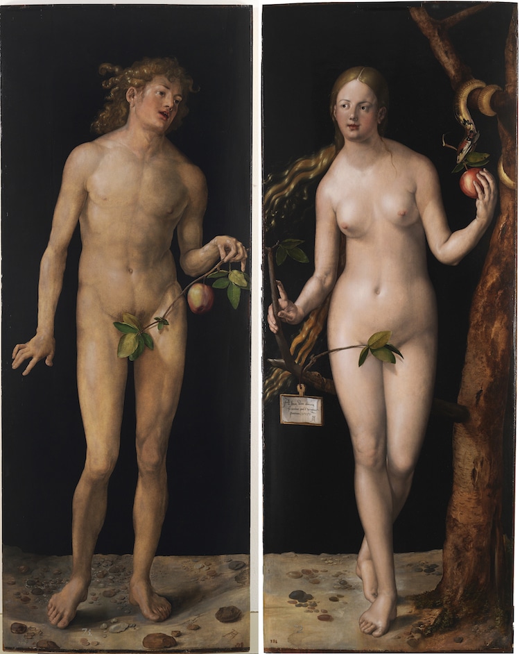 Adam and Eve Painting by Albrecht Durer