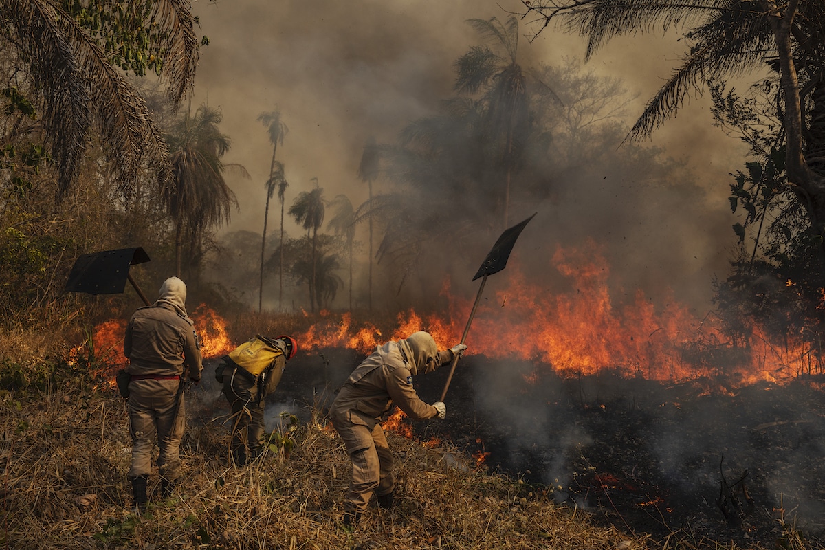 Brazilian Firefighters Combatting 2020 Wildfires
