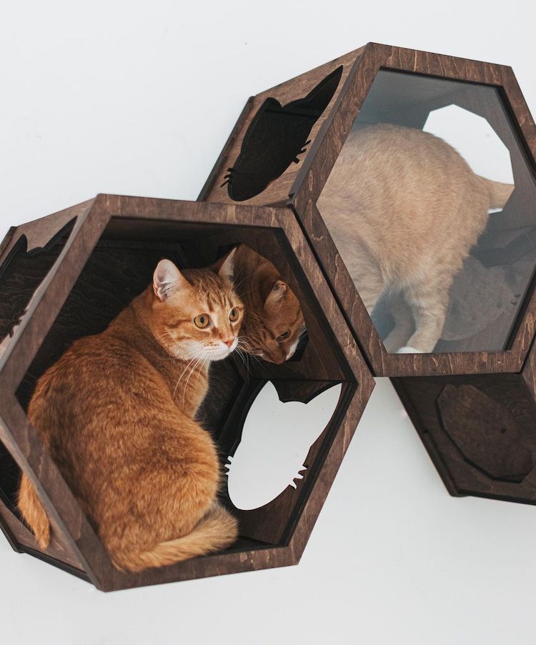 Cat Wall Furniture by Catsmode