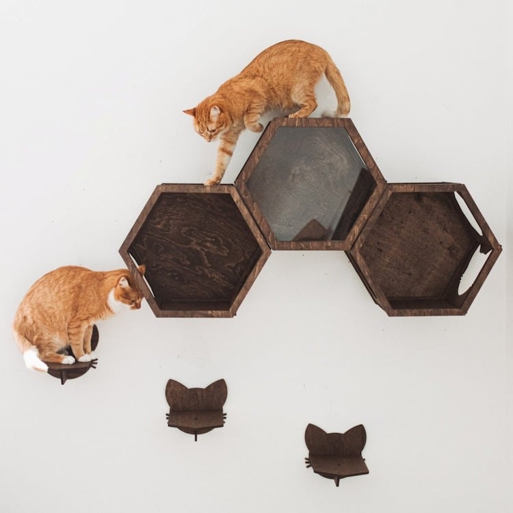 Cat Wall Furniture by Catsmode