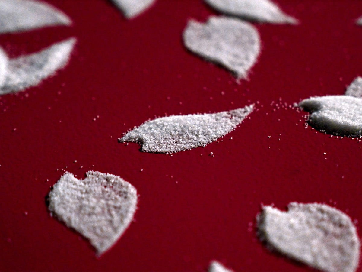 Motoi Yamamoto Cherry Blossom Petals Salt Installation
