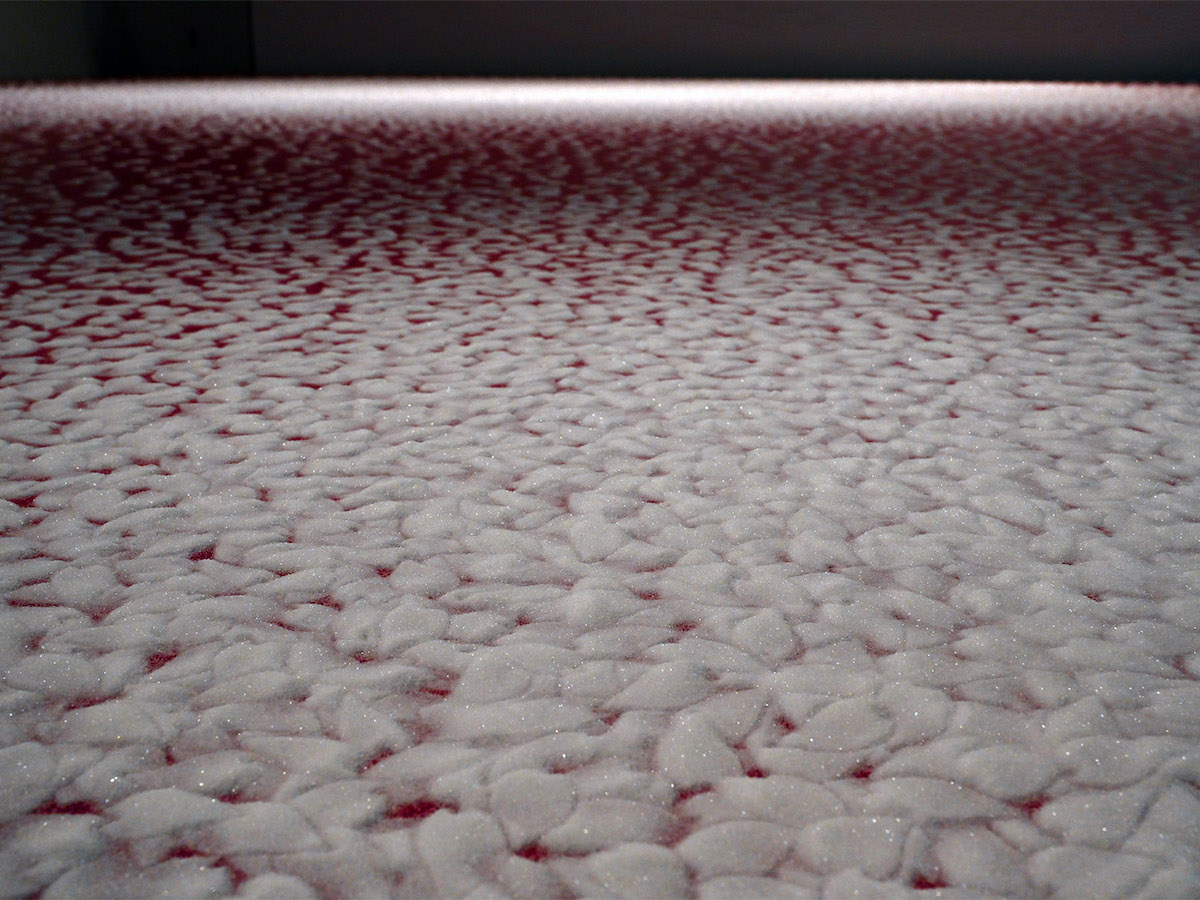 Motoi Yamamoto Cherry Blossom Petals Salt Installation