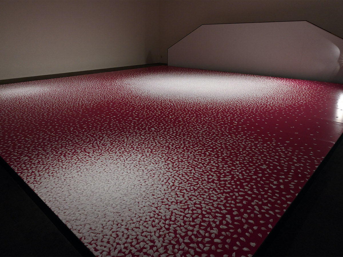 Motoi Yamamoto Cherry Blossom Petals Salt Installation