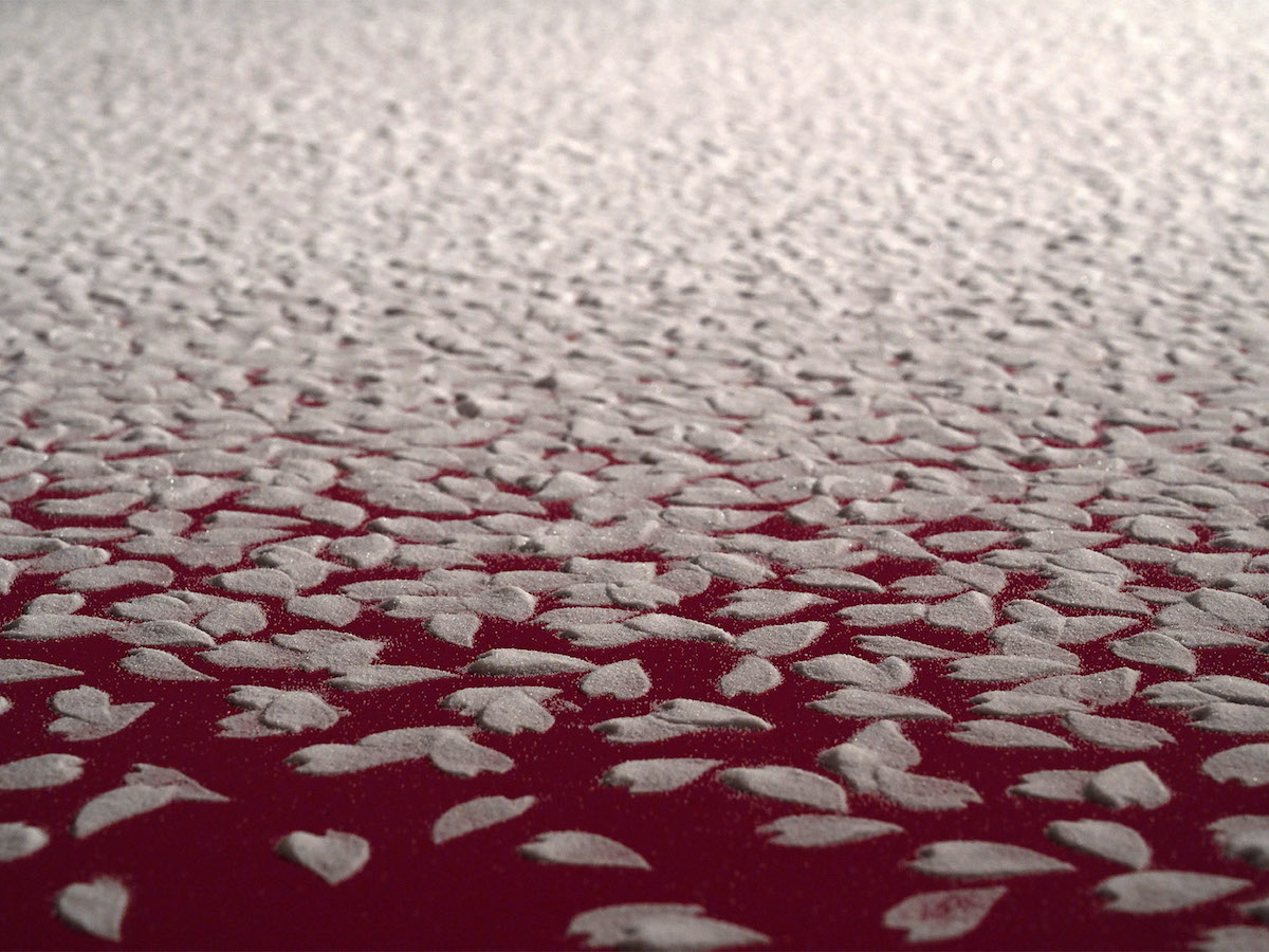 Motoi Yamamoto Cherry Blossom Petals Salt Installation